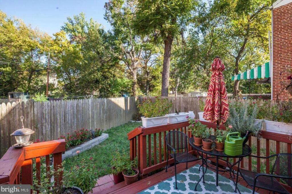Cozy Semi Detached In Ne Dc *